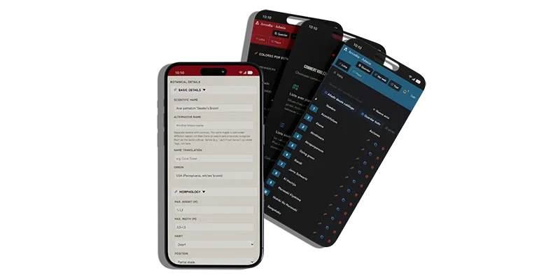 features-personalizacion